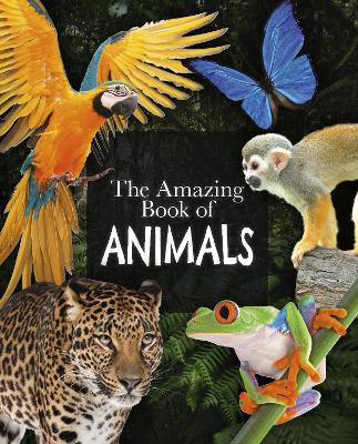 Book cover for The Amazing Book of Animals