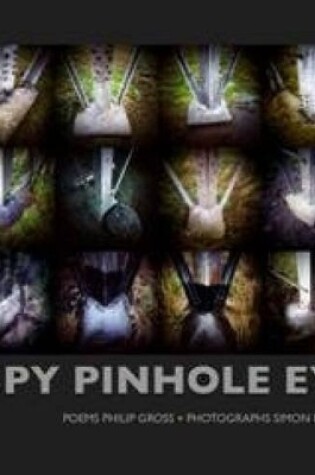 Cover of I Spy Pinhole Eye