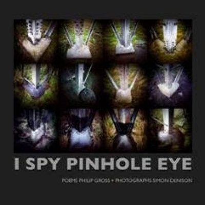 Book cover for I Spy Pinhole Eye