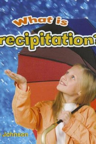 Cover of What is precipitation?