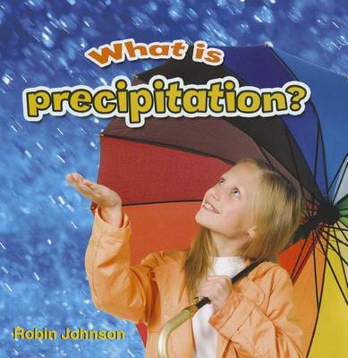 Book cover for What is precipitation?