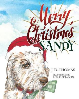 Book cover for Merry Christmas Sandy