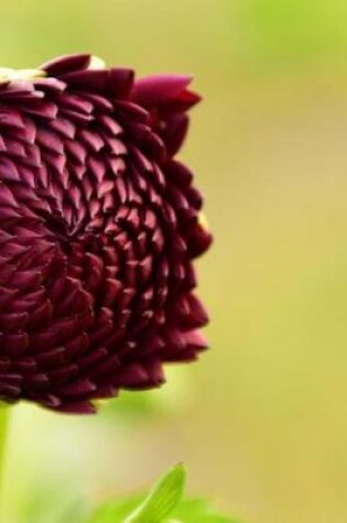 Cover of Red Dahlia Flower Bud Starting to Bloom in Arizona Journal