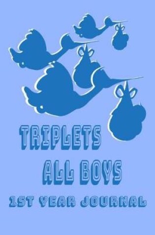 Cover of Triplets all Boys 1st year journal