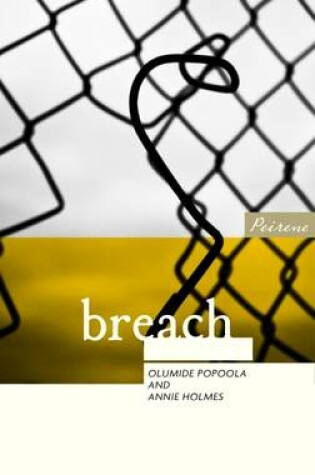 Cover of Breach