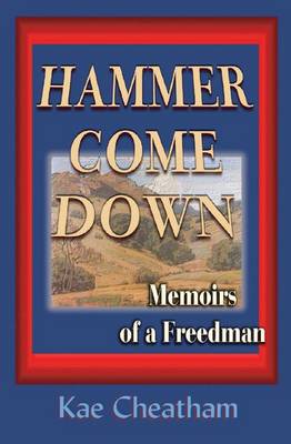 Book cover for Hammer Come Down