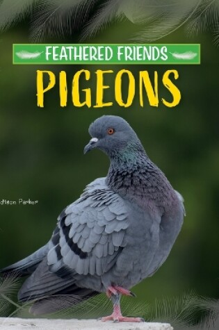 Cover of Pigeons