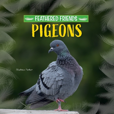 Book cover for Pigeons