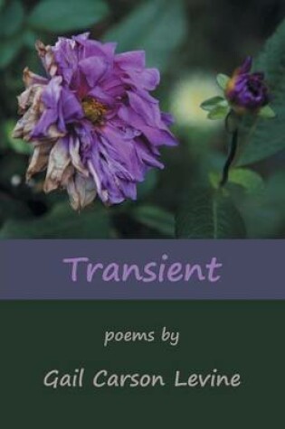 Cover of Transient