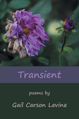 Book cover for Transient