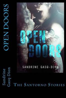 Book cover for Open Doors