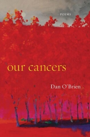 Cover of Our Cancers