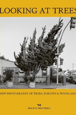 Cover of Looking At Trees