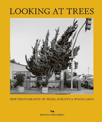 Book cover for Looking At Trees