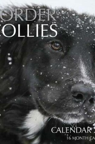 Cover of Border Collies Calendar 2017