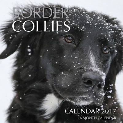 Book cover for Border Collies Calendar 2017