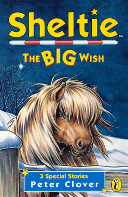 Book cover for Sheltie: The Big Wish