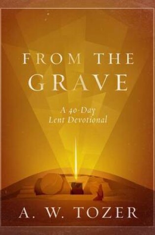 Cover of From The Grave