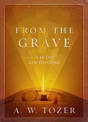 Book cover for From The Grave