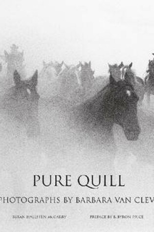 Cover of Pure Quill