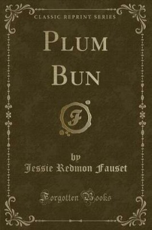 Cover of Plum Bun (Classic Reprint)