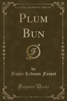 Book cover for Plum Bun (Classic Reprint)