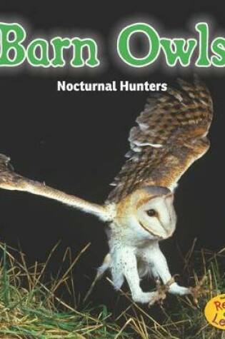 Cover of Night Safari Barn Owls Nocturnal Hunters