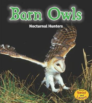 Book cover for Barn Owls: Nocturnal Hunters (Night Safari)