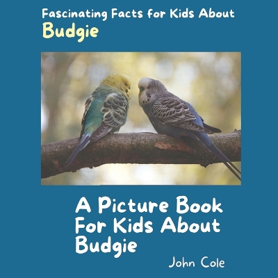 Book cover for A Picture Book for Kids About Budgie