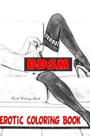 Cover of BDSM Erotic Coloring Book