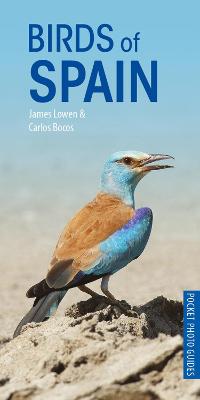 Cover of Birds of Spain