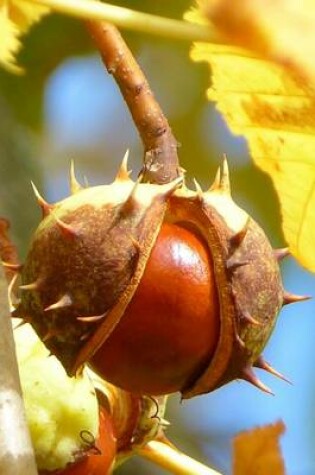 Cover of Chestnut Opening on the Tree, for the Love of Nature