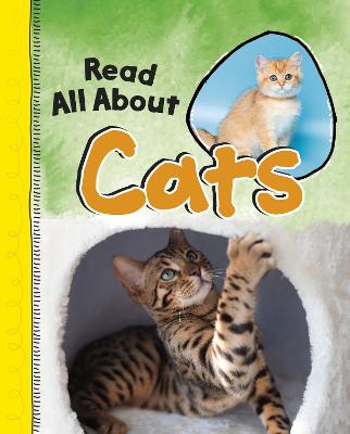 Book cover for Read All About Cats