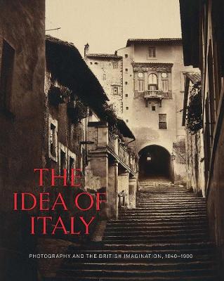 Book cover for The Idea of Italy