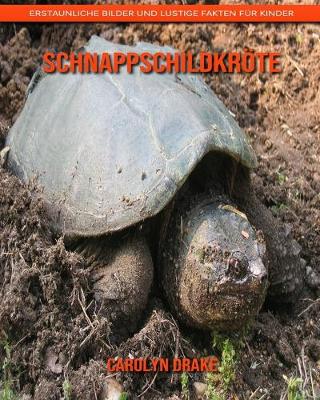 Book cover for Schnappschildkröte