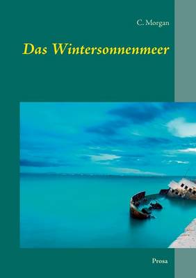 Book cover for Das Wintersonnenmeer