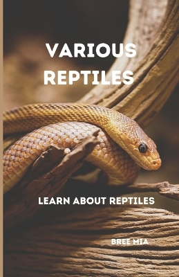 Book cover for Various Reptiles