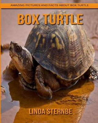 Book cover for Box Turtle