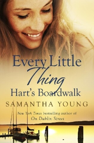 Cover of Every Little Thing