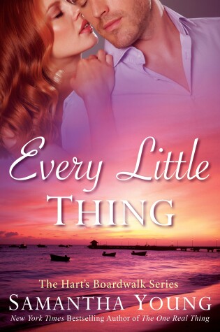 Cover of Every Little Thing
