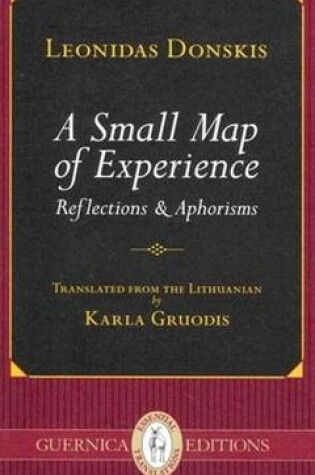 Cover of Small Map of Experience