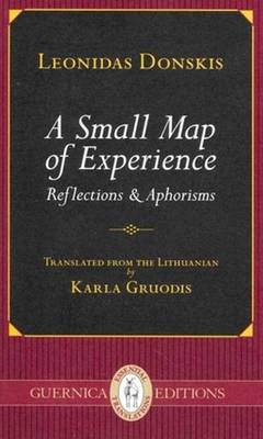 Book cover for Small Map of Experience