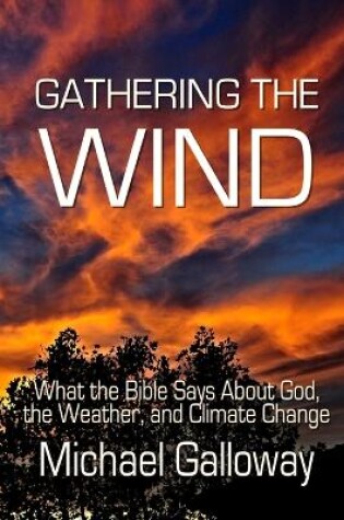 Cover of Gathering the Wind
