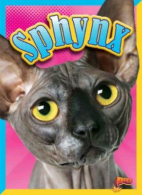 Cover of Sphynx