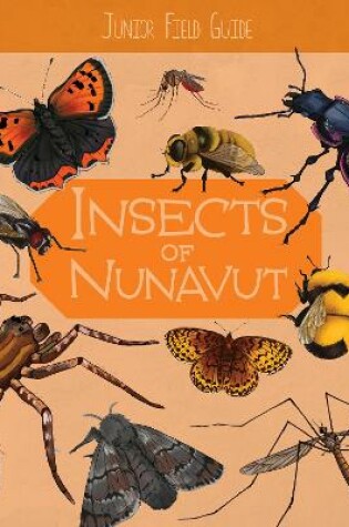 Cover of Junior Field Guide: Insects of Nunavut