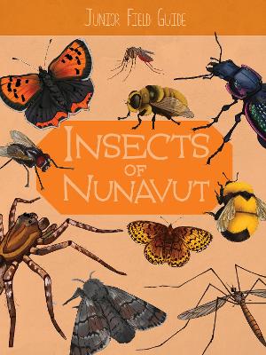 Book cover for Junior Field Guide: Insects of Nunavut