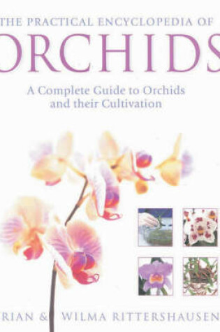 Cover of The Practical Encyclopedia of Orchids