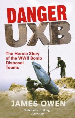 Book cover for Danger Uxb