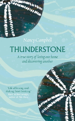 Book cover for Thunderstone