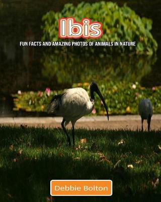 Book cover for Ibis